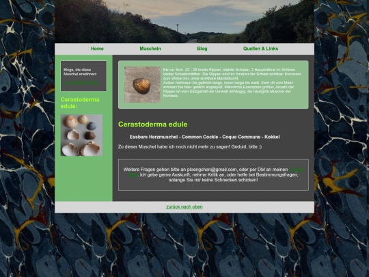 muscheln/cerastodermaedule screenshot