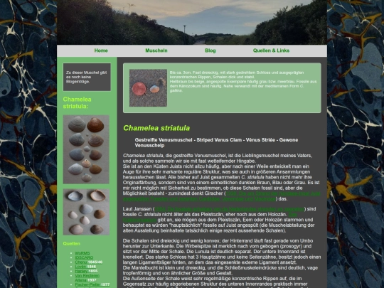 muscheln/chameleastriatula screenshot
