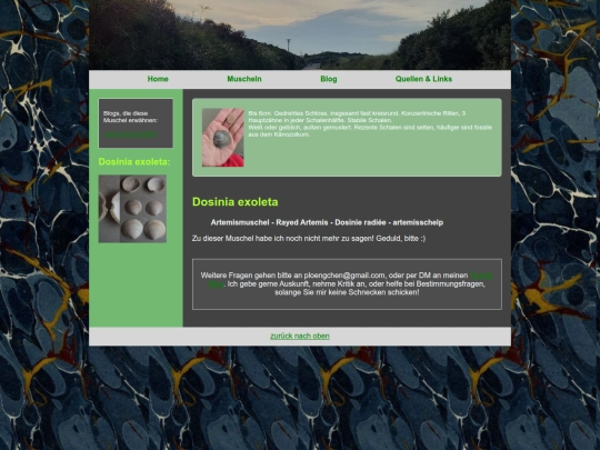 muscheln/dosiniaexoleta screenshot