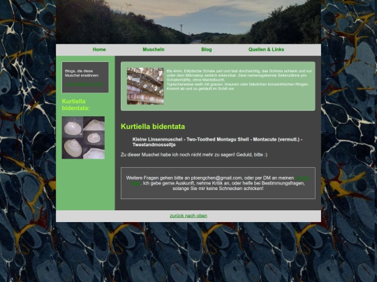 muscheln/kurtiellabidentata screenshot