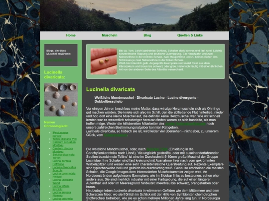 muscheln/lucinelladivaricata screenshot