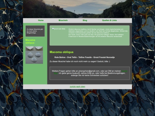muscheln/macomaobliqua screenshot