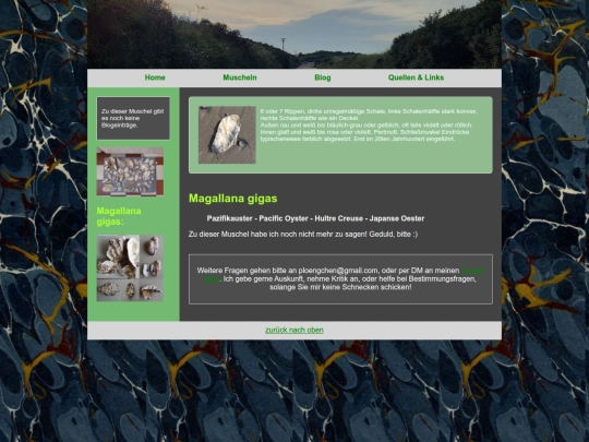 muscheln/magallanagigas screenshot