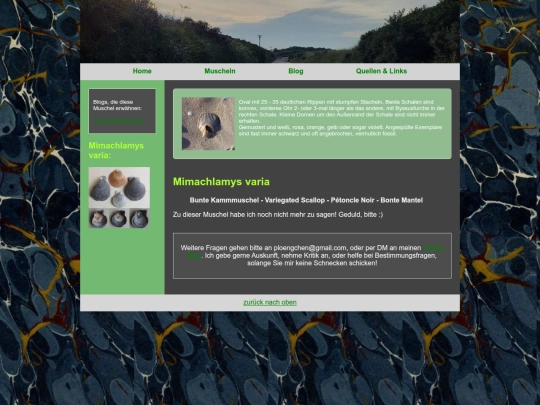 muscheln/mimachlamysvaria screenshot