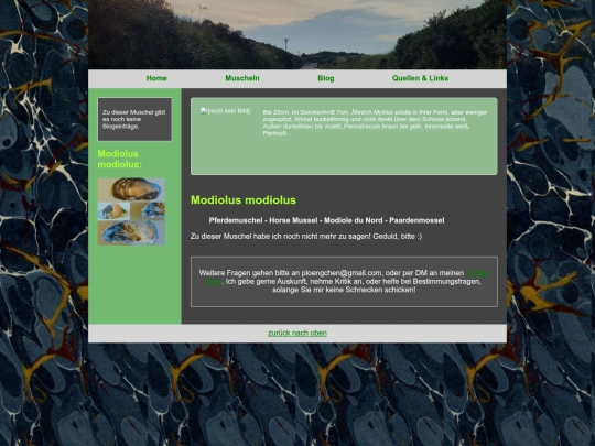 muscheln/modiolusmodiolus screenshot