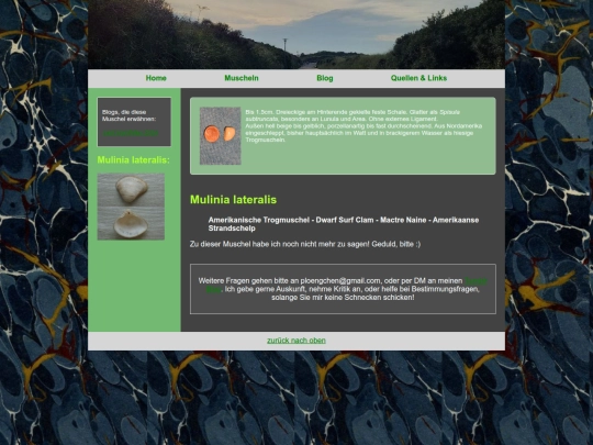 muscheln/mulinialateralis screenshot