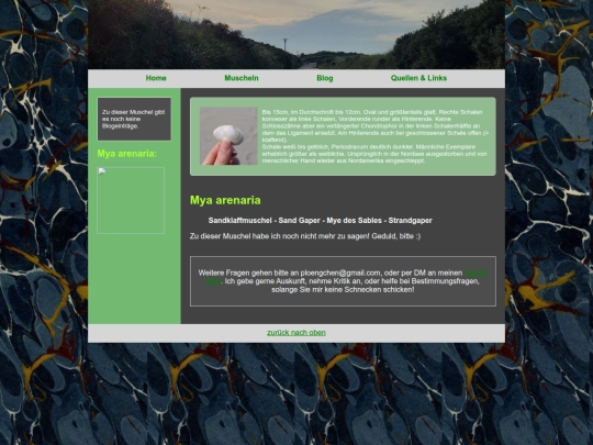 muscheln/myaarenaria screenshot