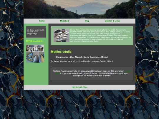 muscheln/mytilusedulis screenshot