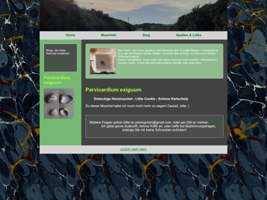 muscheln/parvicardiumexiguum screenshot