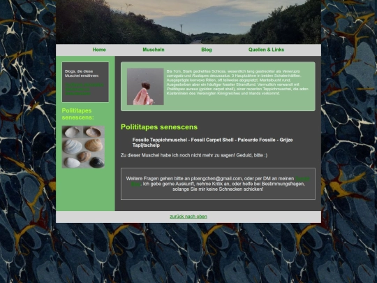 muscheln/polititapessenescens screenshot