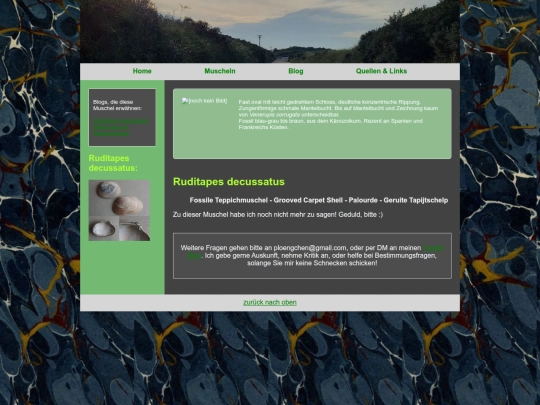 muscheln/ruditapesdecussatus screenshot
