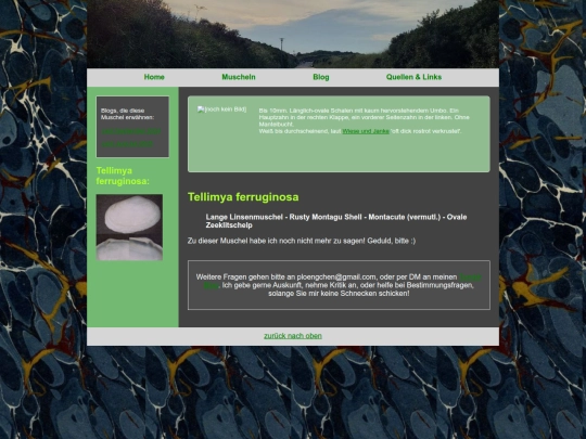 muscheln/tellimyaferruginosa screenshot