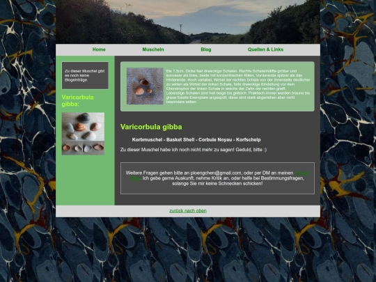 muscheln/varicorbulagibba screenshot