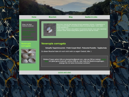 muscheln/venerupiscorrugata screenshot