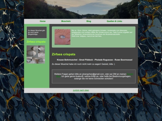 muscheln/zirfaeacrispata screenshot