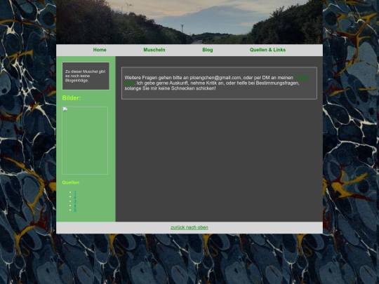 page screenshot