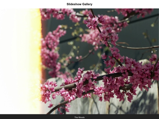 photos/slideshowgallery screenshot