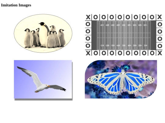 imitation-images screenshot
