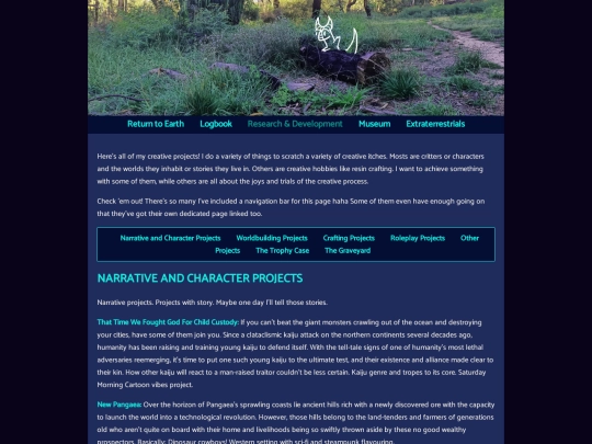 projects screenshot