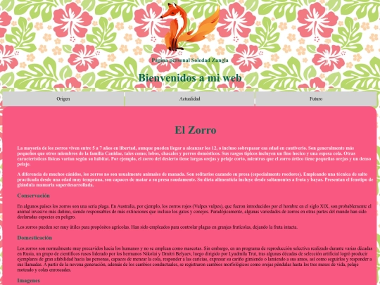 practico final screenshot