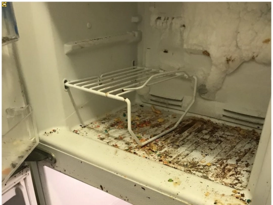 fridge screenshot