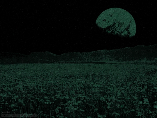 scenes/field screenshot