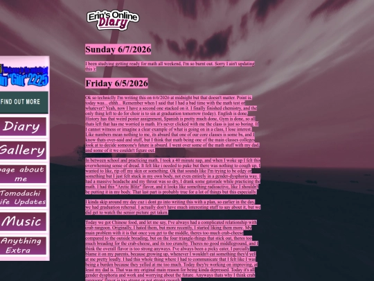 Diary screenshot