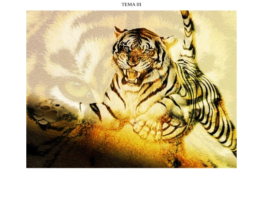 PAG_T3 screenshot