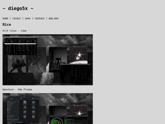 rices screenshot