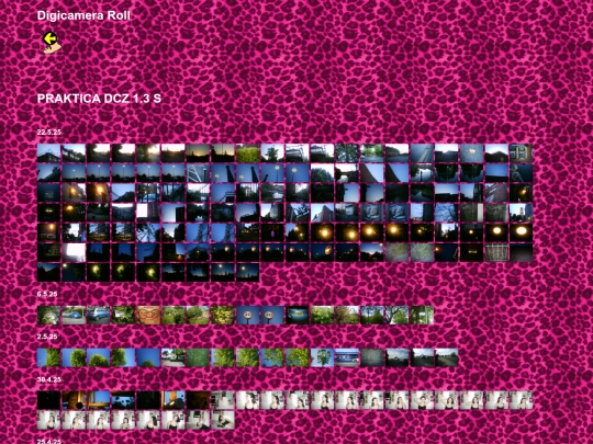 camera-roll screenshot