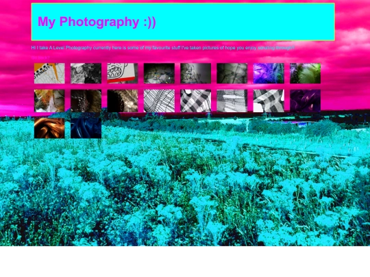 photography screenshot
