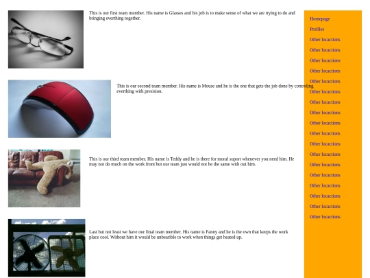 companyprofiles screenshot