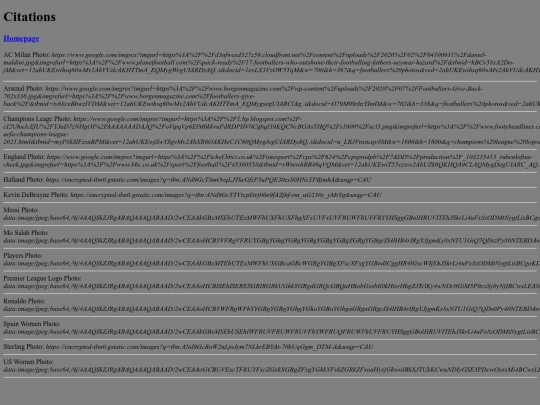 Citations screenshot