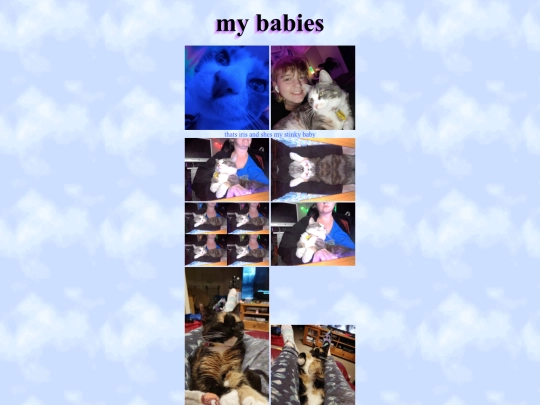 about/beak/family screenshot