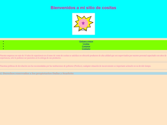 pagina 2 - copia screenshot