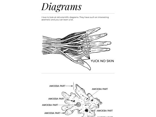 diagrams screenshot