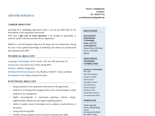 html_resume/1 screenshot