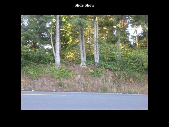 slide screenshot