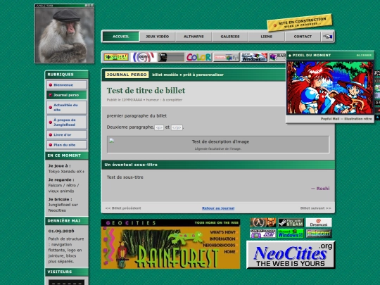 journal/modele-billet screenshot