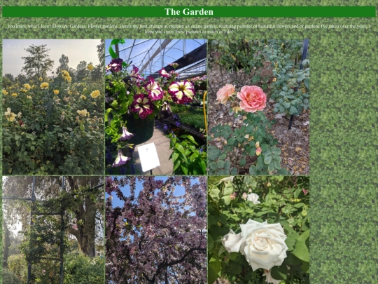 thegarden screenshot