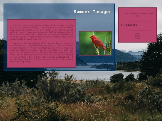 Blackbirds screenshot
