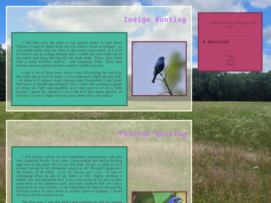 sparrows screenshot