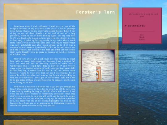 waterbirds screenshot