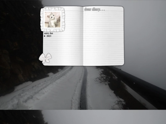 diary screenshot