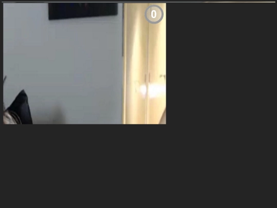 zall/snap screenshot