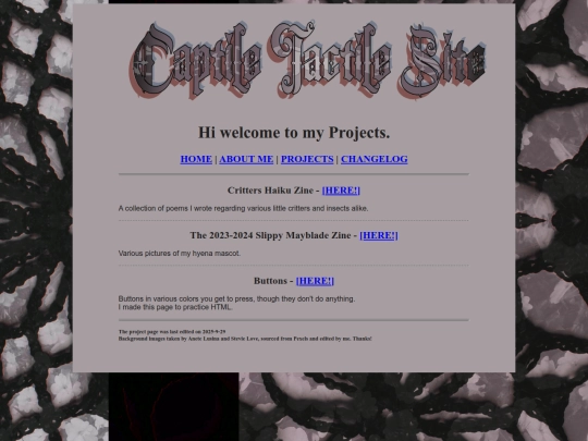 projects screenshot