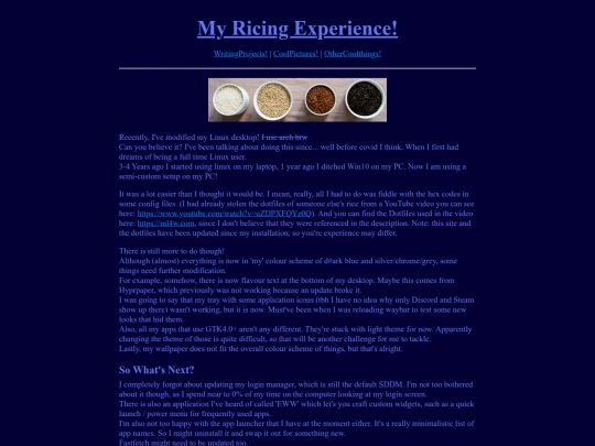 WritingProjects/MyRicingExperience screenshot