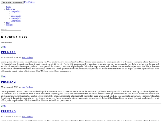 PLANTILLA PARCIAL screenshot