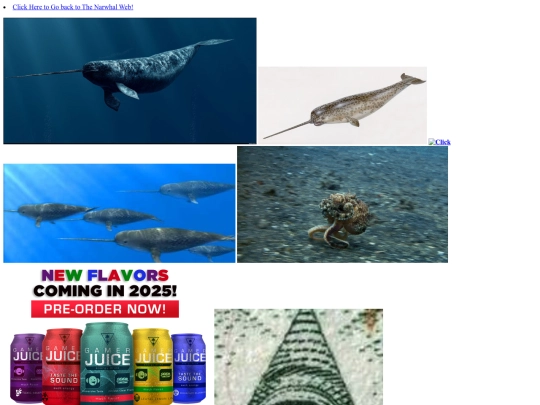 NarwhalWebPhotoGallery screenshot