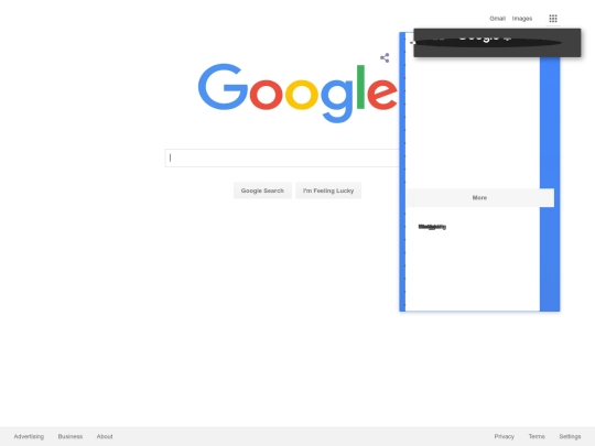 googl screenshot